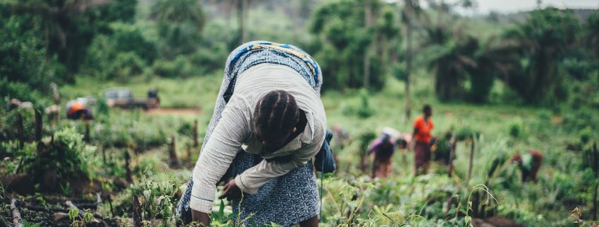 African woman farming
