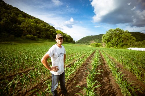 Sustainable farmer in field