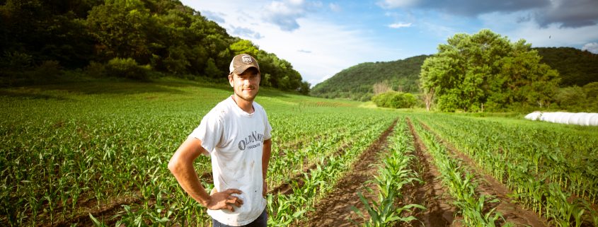 Sustainable farmer in field