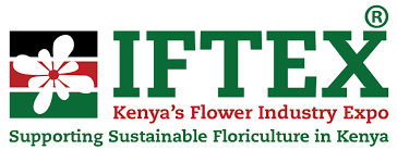 IFTEX Logo